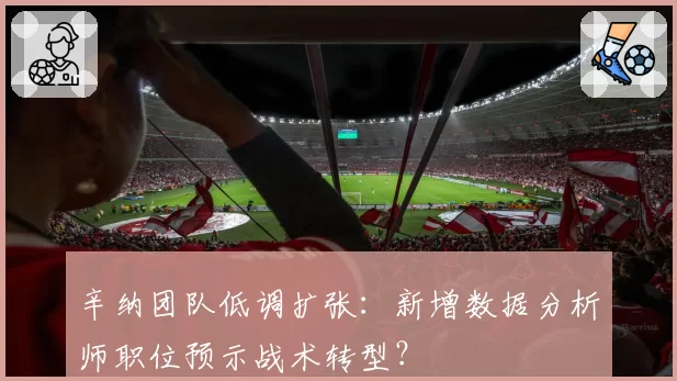 辛纳团队低调扩张:新增数据分析师职位预示战术转型?