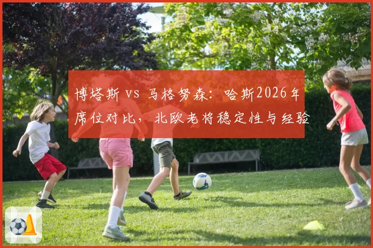 博塔斯 vs 马格努森：哈斯2026年席位对比，北欧老将稳定性与经验谁更关键？