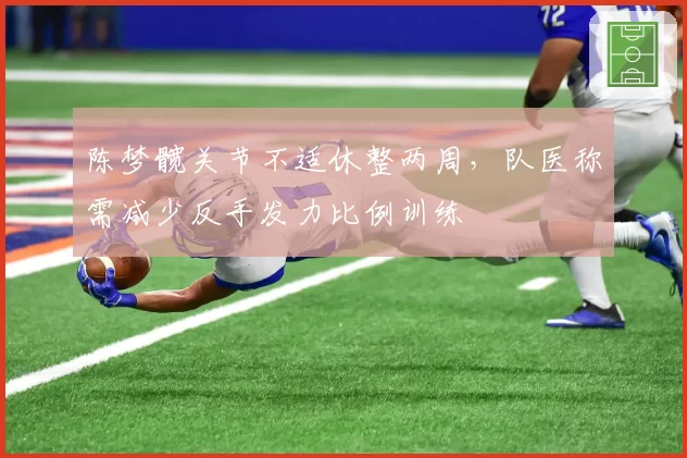 陈梦髋关节不适休整两周，队医称需减少反手发力比例训练
