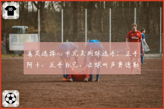 高芙选择心中完美网球选手：正手阿卡，反手自己，击球叫声费德勒