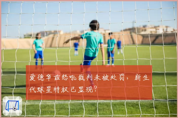 爱德华兹怒吼裁判未被处罚,新生代球星特权已显现?