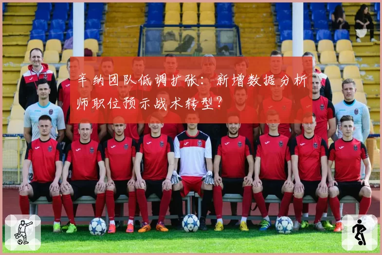 辛纳团队低调扩张:新增数据分析师职位预示战术转型?