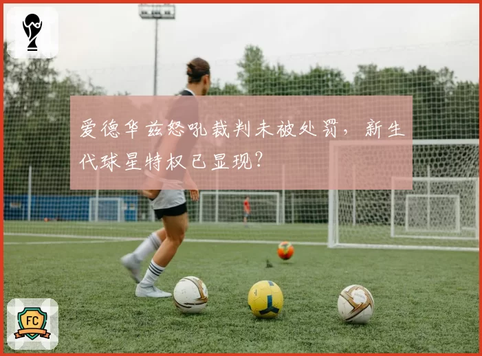 爱德华兹怒吼裁判未被处罚，新生代球星特权已显现？