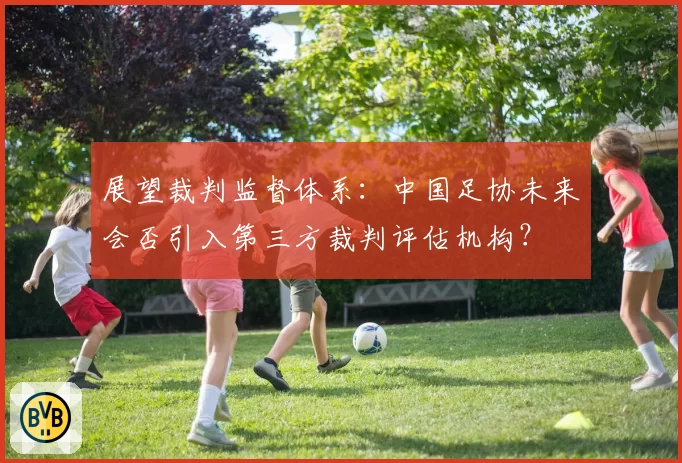 展望裁判监督体系：中国足协未来会否引入第三方裁判评估机构？