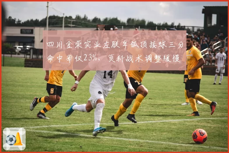 四川金荣实业左朕年弧顶接球三分命中率仅23%，莫科战术调整缓慢