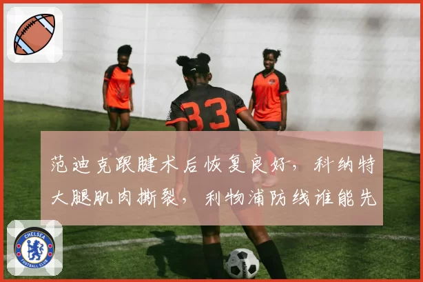 范迪克跟腱术后恢复良好，科纳特大腿肌肉撕裂，利物浦防线谁能先回归？